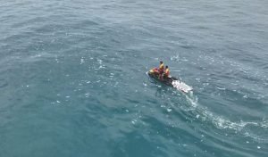 Screenshot_20250316_183052_WhatsAppBusiness