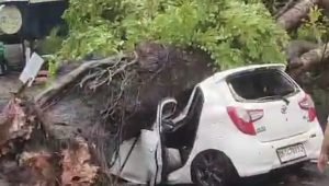 Screenshot_20250323_000659_WhatsAppBusiness