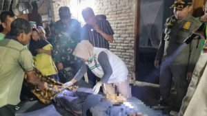 WhatsApp Image 2025-03-01 at 15.54.23