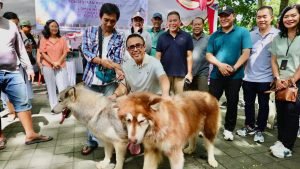 WhatsApp Image 2025-03-01 at 17.46.14