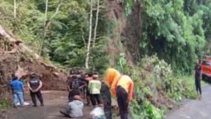 WhatsApp Image 2025-03-02 at 23.55.20