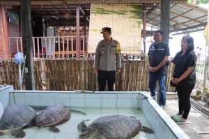 WhatsApp Image 2025-03-15 at 21.50.34