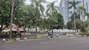 WhatsApp Image 2025-03-17 at 11.12.56