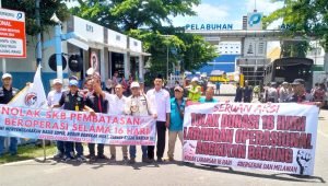 WhatsApp Image 2025-03-20 at 14.30.52