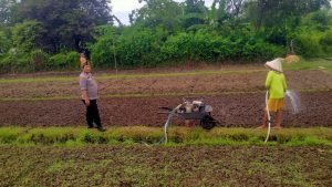 WhatsApp Image 2025-03-22 at 23.35.42