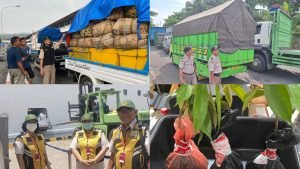 WhatsApp Image 2025-03-25 at 16.45.42 (1)