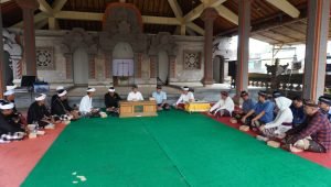 WhatsApp Image 2025-03-27 at 23.02.24