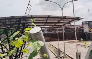 WhatsApp Image 2025-03-28 at 18.56.53