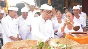 WhatsApp Image 2025-03-31 at 17.26.42