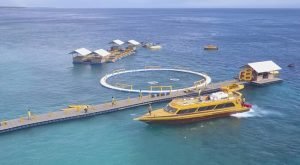 Dermaga Apung Modular (1)