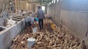 IMG-20250425-WA0004_hBYXYQ0933