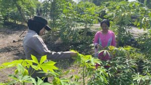 IMG-20250427-WA0000_RWVjCMp63C