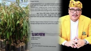 Screenshot_20250420_142612_InCollage - Collage Maker