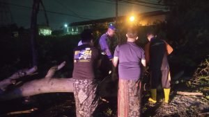 WhatsApp Image 2025-04-01 at 09.46.44