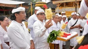 WhatsApp Image 2025-04-03 at 18.34.20