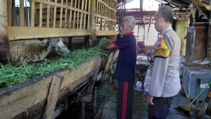 WhatsApp Image 2025-04-04 at 14.45.25