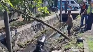 WhatsApp Image 2025-04-08 at 09.41.11