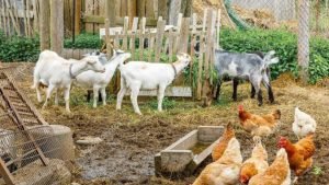 WhatsApp Image 2025-04-16 at 18.14.09