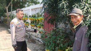 IMG_20250531_125931_biaII4kR7Z