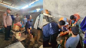 InCollage_20250518_111205655_cfSfwiFE2c