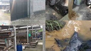 InCollage_20250529_200350157_9K8dxQXM65