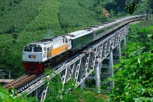 Pengalaman Berkesan Menikmati Keindahan Alam Indonesia Melalui Jendela Kereta Panoramic