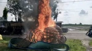 Screenshot_20250519_010446_WhatsAppBusiness