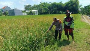 IMG_20250603_103253_jHUf4NXU8b