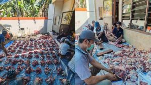 InCollage_20250606_201516283_RlWbgvBF3B