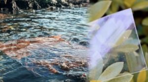 Screenshot_20250602_125056_InCollage - Collage Maker