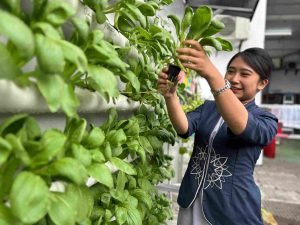 IMG-20250801-WA0001_WxbWXMyc5j