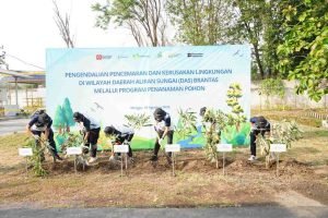 IMG-20250810-WA0020_j8bt1u3D2T