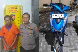 InCollage_20250820_092809590_3NSPFbbv8E