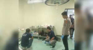 Screenshot_20250819_061208_InCollage - Collage Maker