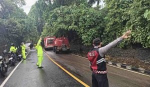 IMG-20250911-WA0001_07fIUOJQ1f