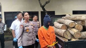 IMG-20251027-WA0034_tc8B22GX8c