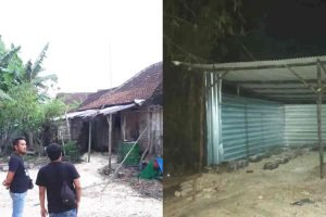 InCollage_20251030_120315638_sH3E3K7b2T