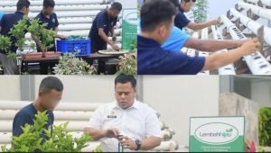 Screenshot_20251010_141349_InCollage - Collage Maker