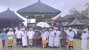 Screenshot_20251012_114530_Photo Editor