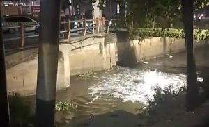 Screenshot_20251017_045913_WhatsAppBusiness