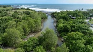 Screenshot_20251017_211537_WPS Office