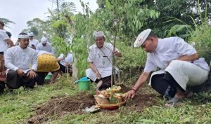 Screenshot_20251025_153357_Gallery