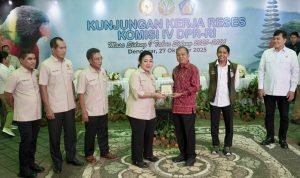 Screenshot_20251027_203555_WhatsAppBusiness