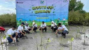 IMG-20251130-WA0002_VT29T8ur4T