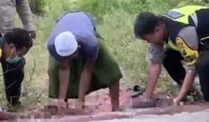 Screenshot_20251103_011137_Photo Editor