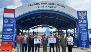 Screenshot_20251111_221016_WhatsAppBusiness