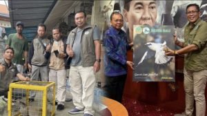 Screenshot_20251127_145548_InCollage - Collage Maker