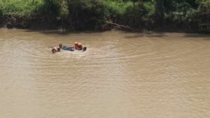 IMG-20251215-WA0011_IvyOCB3e3f