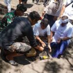 IMG-20251223-WA0051_6B91FOW01q