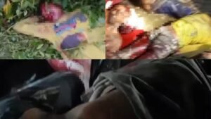 InCollage_20251220_073737735